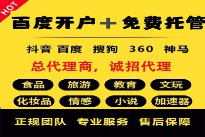 成功案例：SEM托管代运营助力业务增长